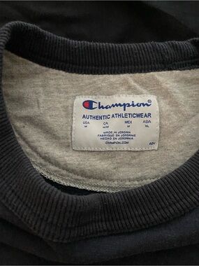 Vintage Gray/Blue Champion Hoodie